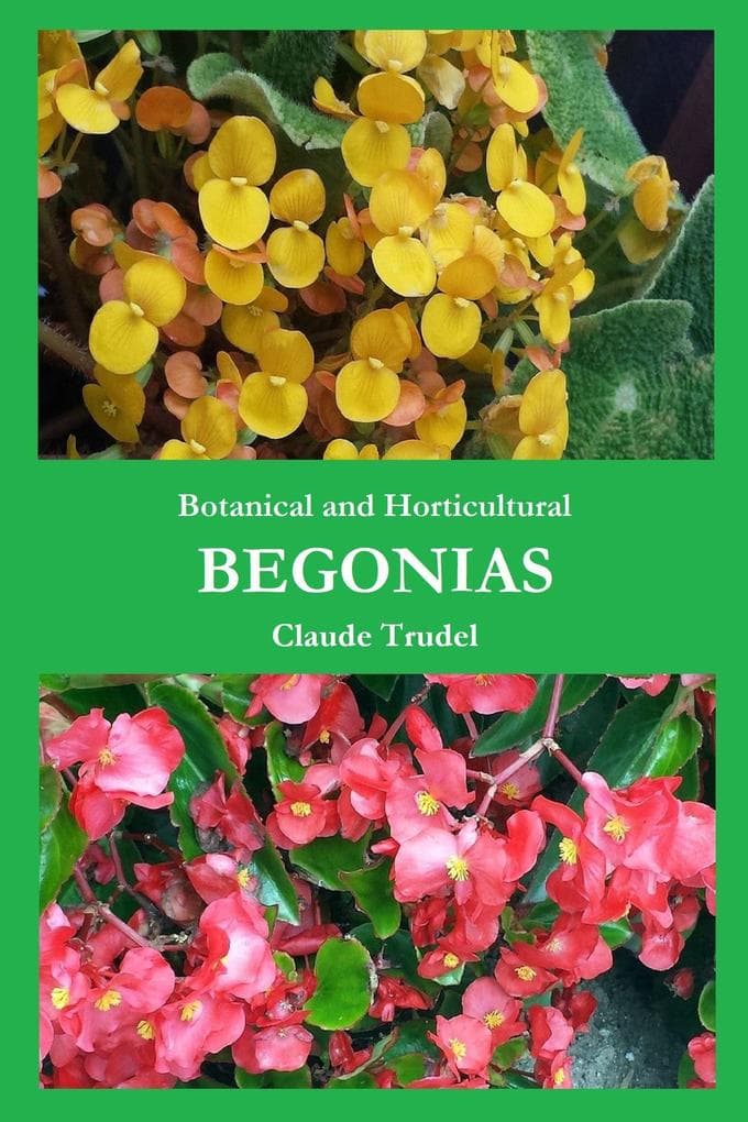 Botanical and Horticultural Begonias