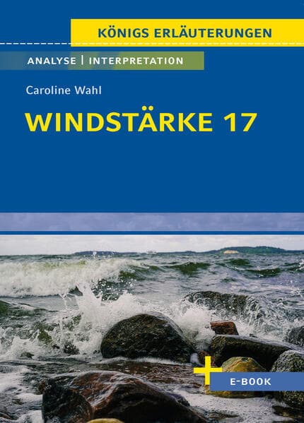 Windstärke 17 von Caroline Wahl