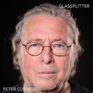 Glassplitter