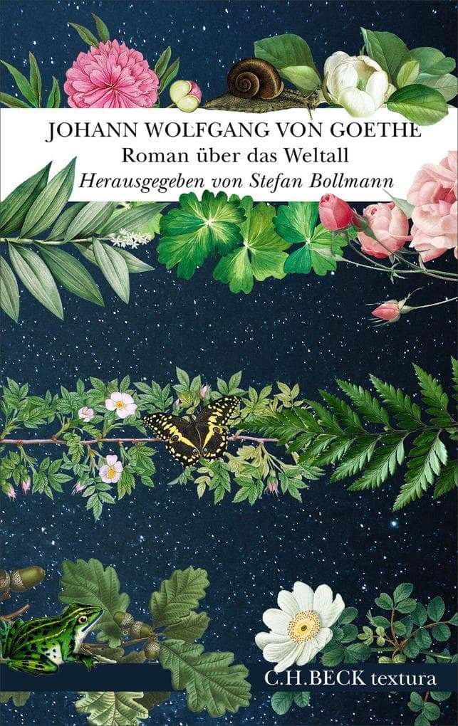 Roman über das Weltall