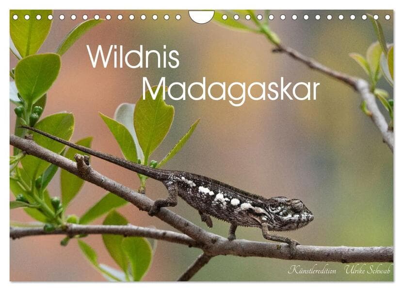 Wildnis Madagaskar (Wandkalender 2027 DIN A4 quer), CALVENDO Monatskalender