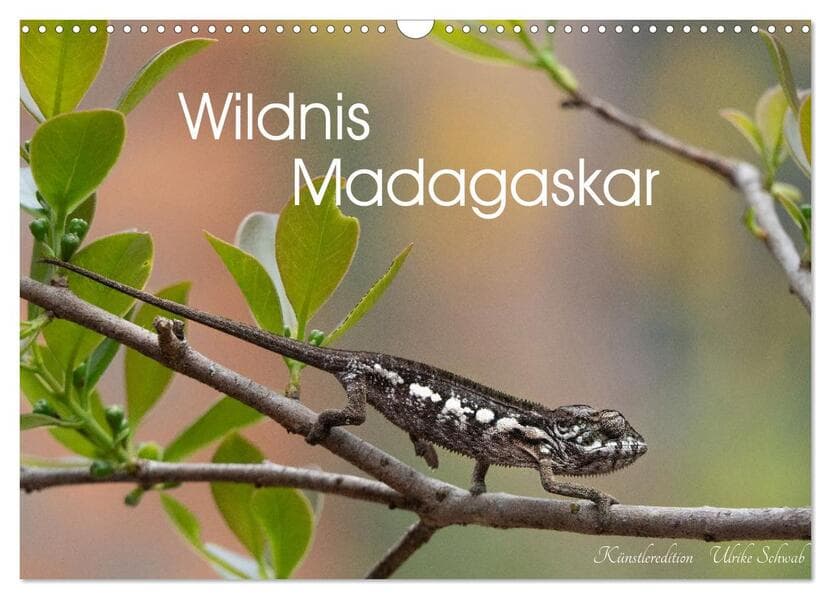 Wildnis Madagaskar (Wandkalender 2027 DIN A3 quer), CALVENDO Monatskalender