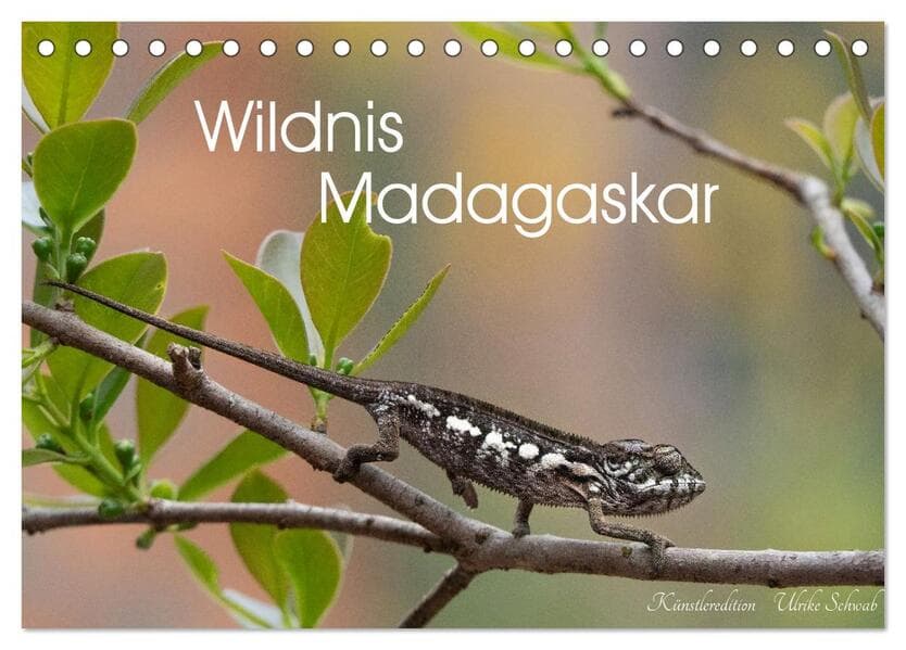 Wildnis Madagaskar (Tischkalender 2027 DIN A5 quer), CALVENDO Monatskalender