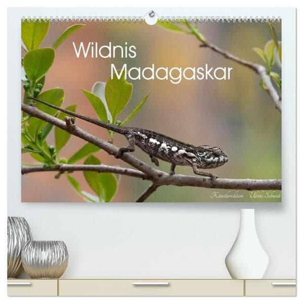 Wildnis Madagaskar (hochwertiger Premium Wandkalender 2027 DIN A2 quer), Kunstdruck in Hochglanz