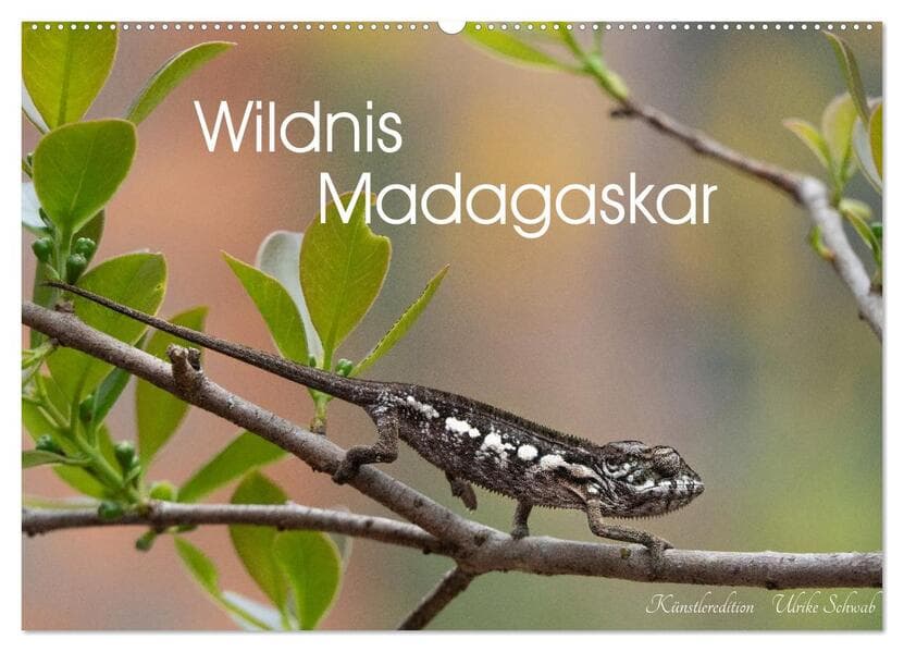 Wildnis Madagaskar (Wandkalender 2027 DIN A2 quer), CALVENDO Monatskalender