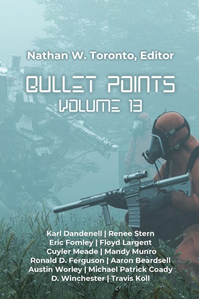 Bullet Points 13