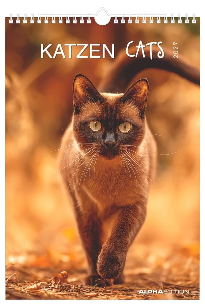Katzen 2027
