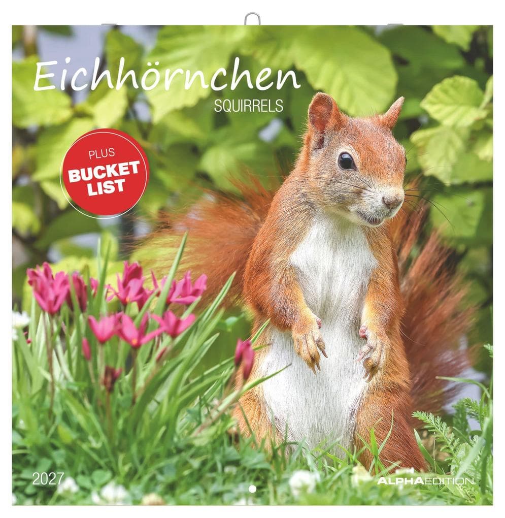 Eichhörnchen 2027