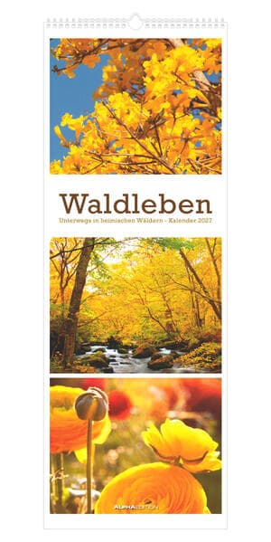 Waldleben - Triplets 2027