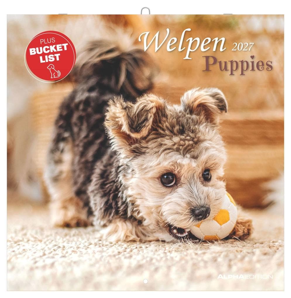 Welpen 2027