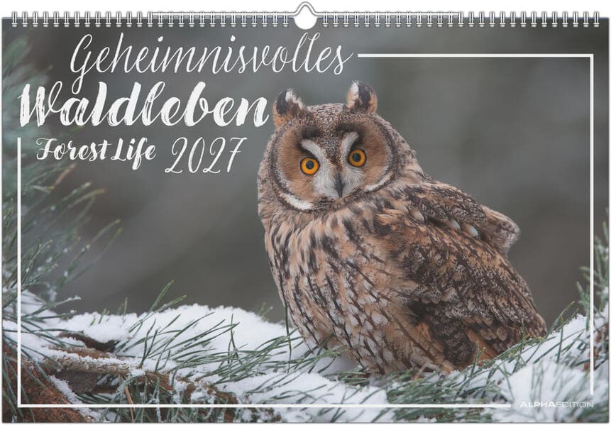 Geheimnisvolles Waldleben 2027