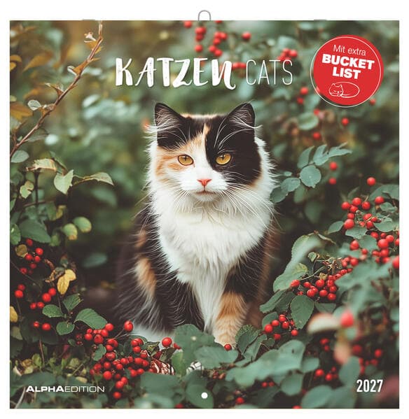 Katzen 2027