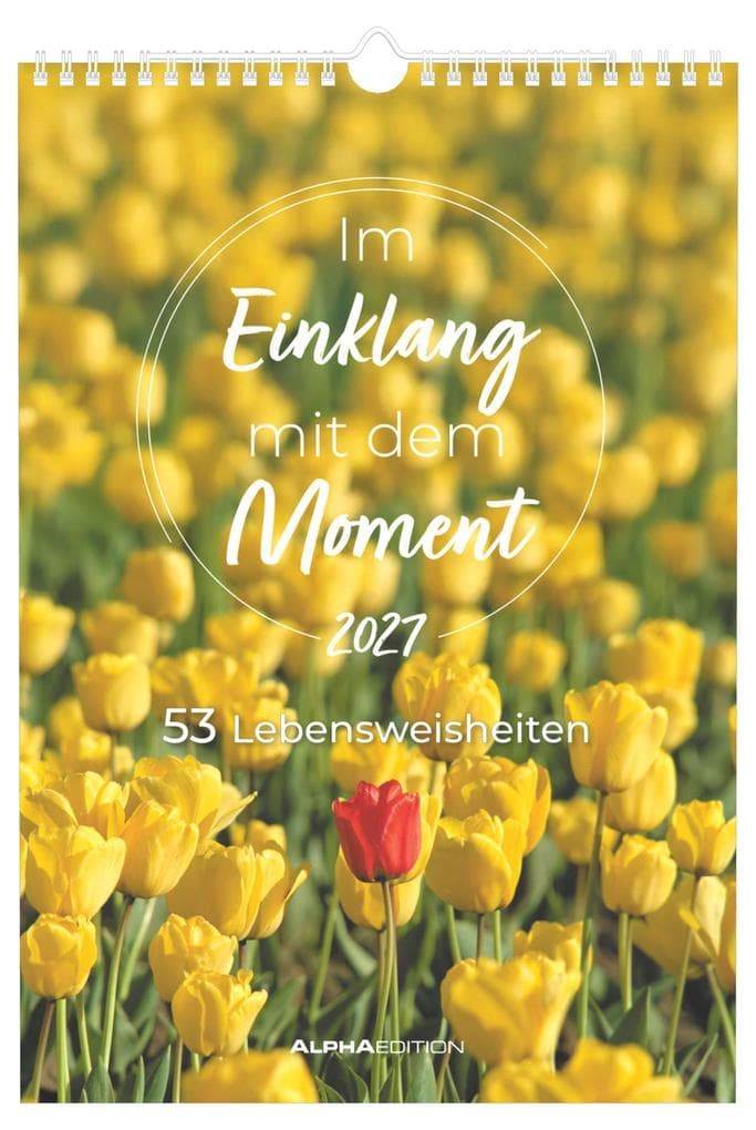 Im Einklang mit dem Moment - 53 Lebensweisheiten 2027