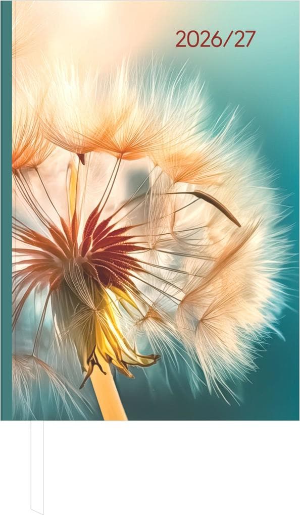 Campustimer Blowballs 2027