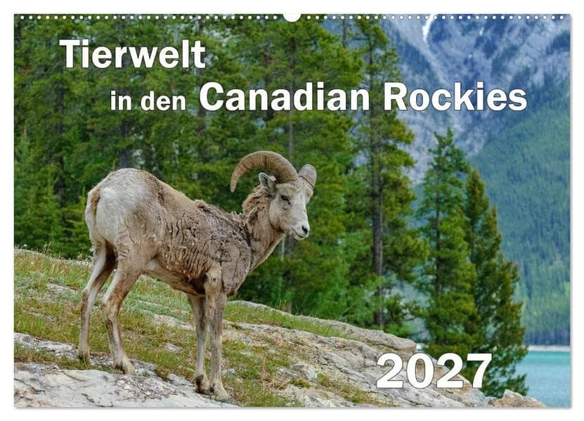 Tierwelt in den Canadian Rockies (Wandkalender 2027 DIN A2 quer), CALVENDO Monatskalender