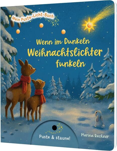 Mein Puste-Licht-Buch: Wenn im Dunkeln Weihnachtslichter funkeln