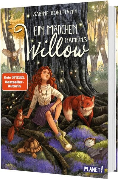 Ein Mädchen namens Willow 6: Band 6