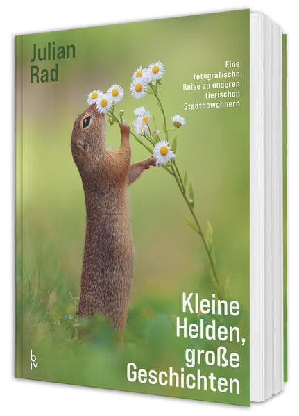 Kleine Helden - große Geschichten