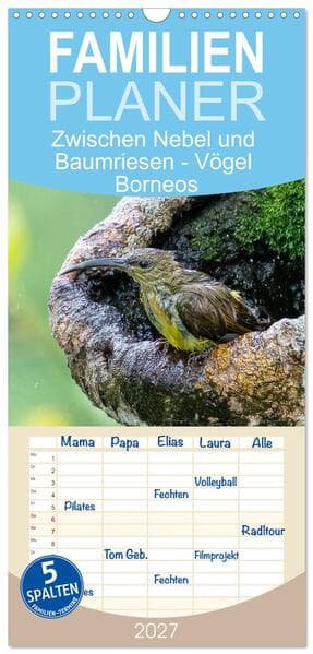 Familienplaner 2027 - Zwischen Nebel und Baumriesen - Vögel Borneos mit 5 Spalten (Wandkalender, 21 x 45 cm) CALVENDO