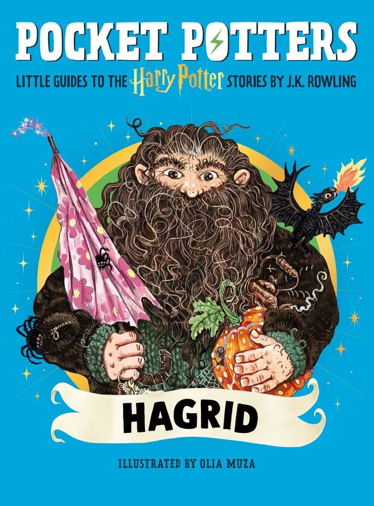 Pocket Potters: Hagrid