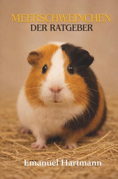 Meerschweinchen