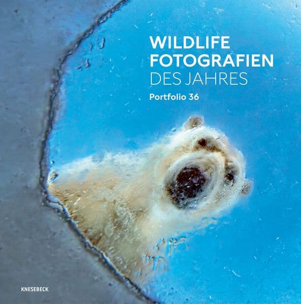 Wildlife Fotografien des Jahres - Portfolio 36