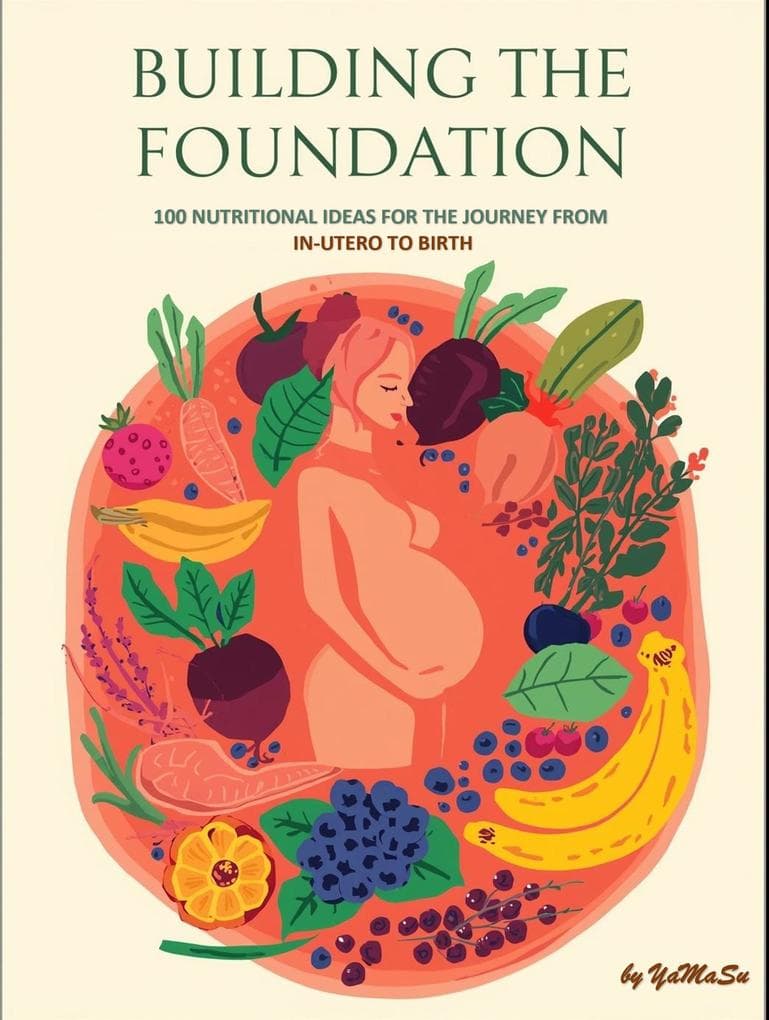Building The Foundation: 100 Nutritional Ideas For The Journey From In Utero To birth