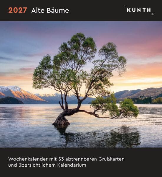 Alte Bäume - KUNTH Postkartenkalender 2027