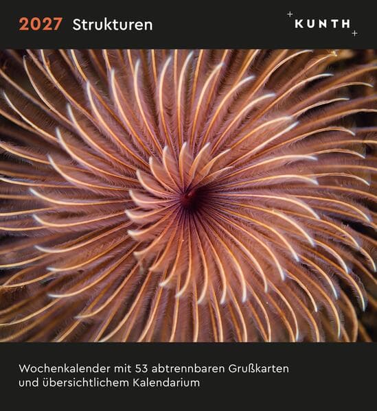 Strukturen - KUNTH Postkartenkalender 2027