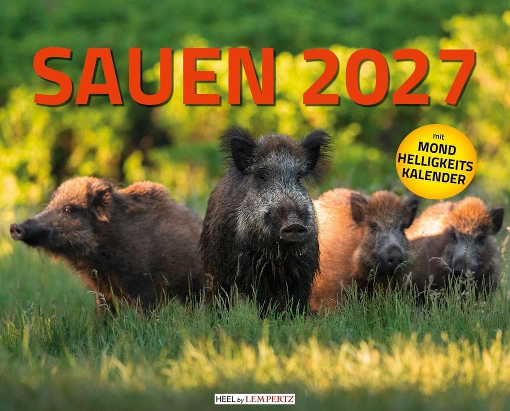 Sauen Kalender 2027 Jagd-Kalender im XXL-Format