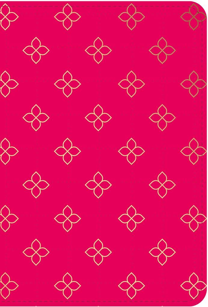 Bíblia Pocket NVI, Capa luxo carteira rosa com corrente, Leitura Perfeita