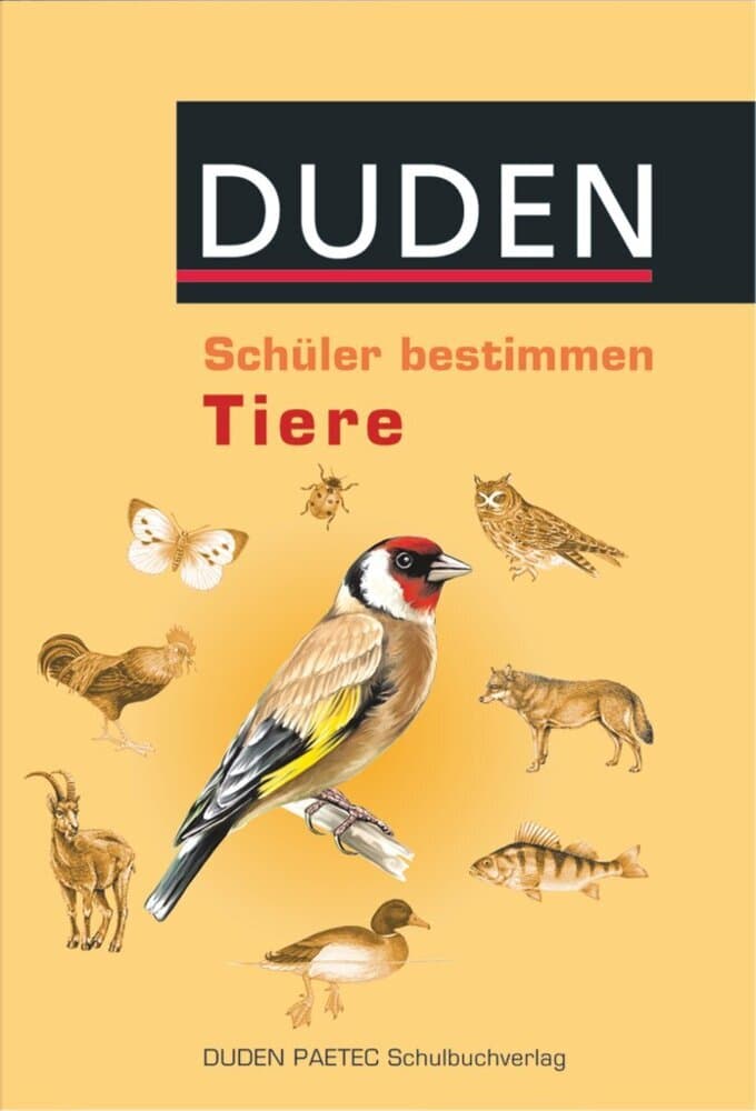 Schüler bestimmen