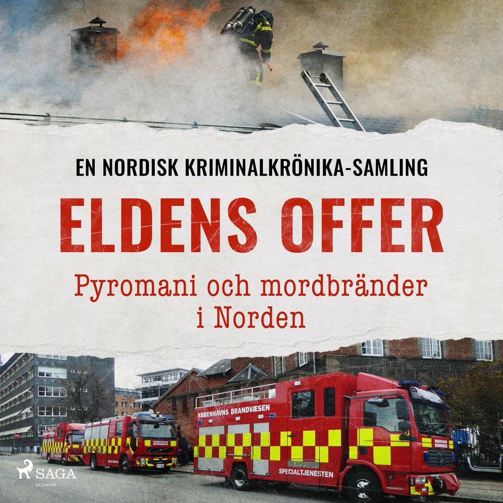 Eldens offer Pyromani och mordbränder i Norden