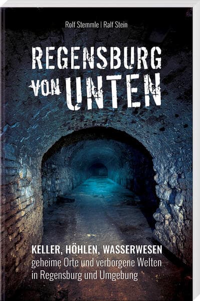 Regensburg von unten