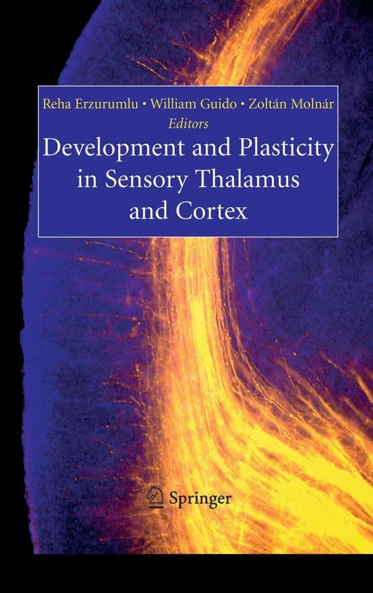 Development and Plasticity in Sensory Thalamus and Cortex