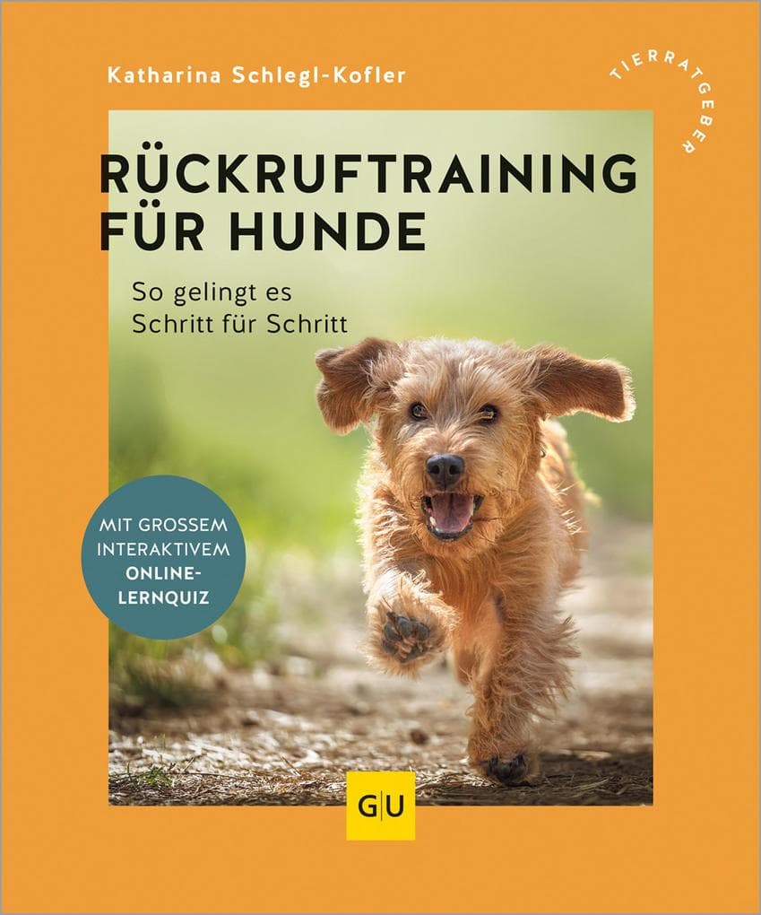 Rückruftraining für Hunde