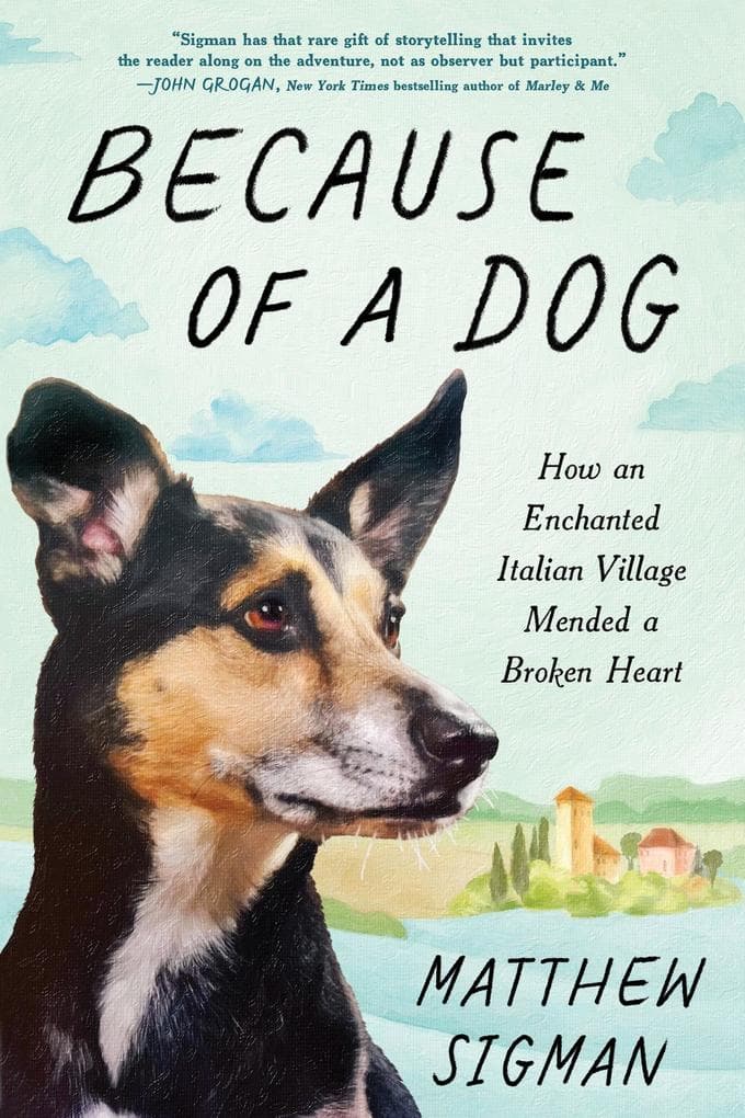 Because of a Dog