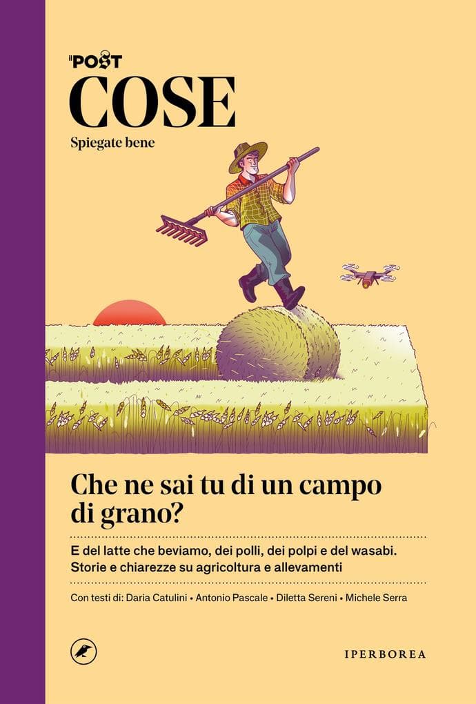 COSE Spiegate bene - Che ne sai tu di un campo di grano?