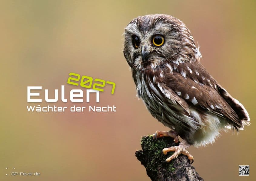 Eulen - Wächter der Nacht - 2027 - Kalender DIN A2