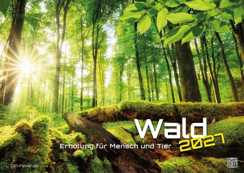 Wald - Erholung für Mensch und Tier - 2027 - Kalender DIN A3