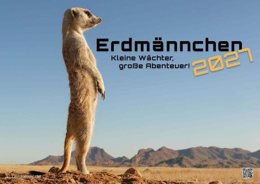 Erdmännchen - Kleine Wächter, große Abenteuer! - 2027 - Kalender DIN A3