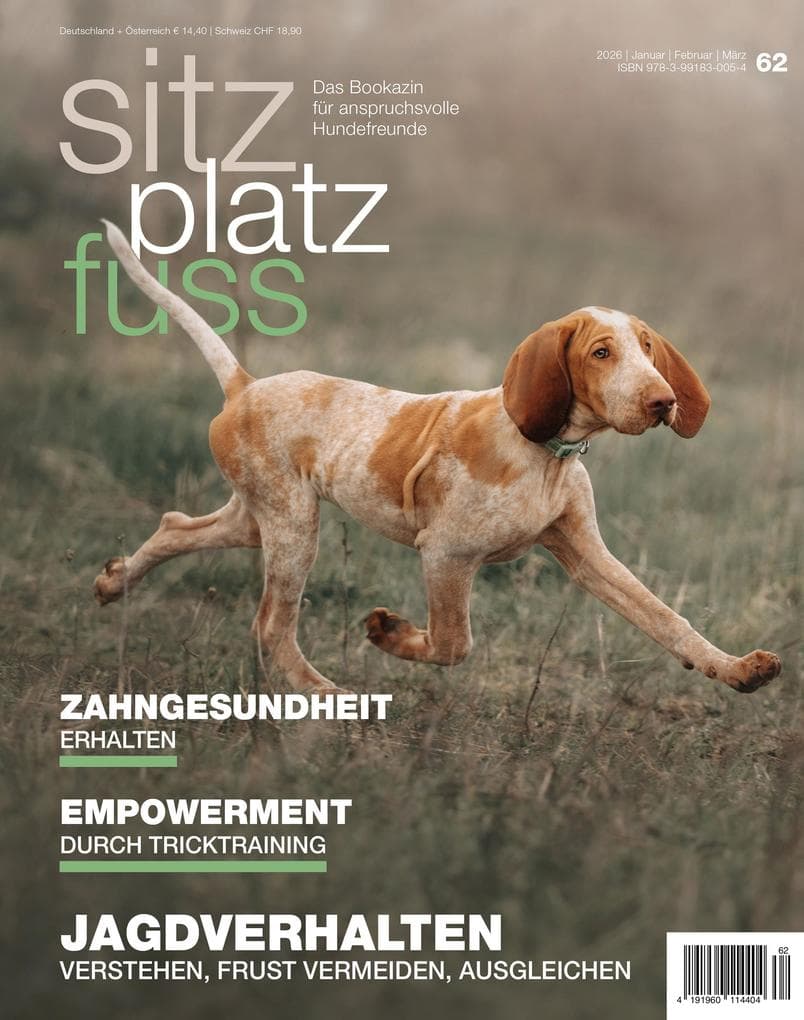 SitzPlatzFuss 62