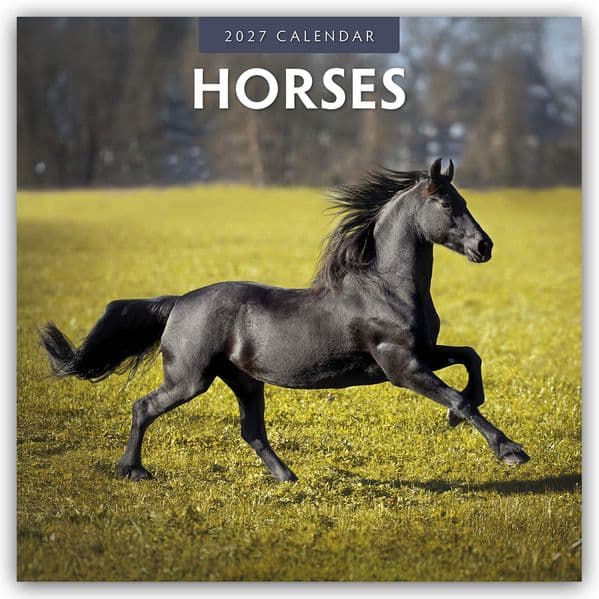 Horses - Pferde 2027 - 16-Monatskalender
