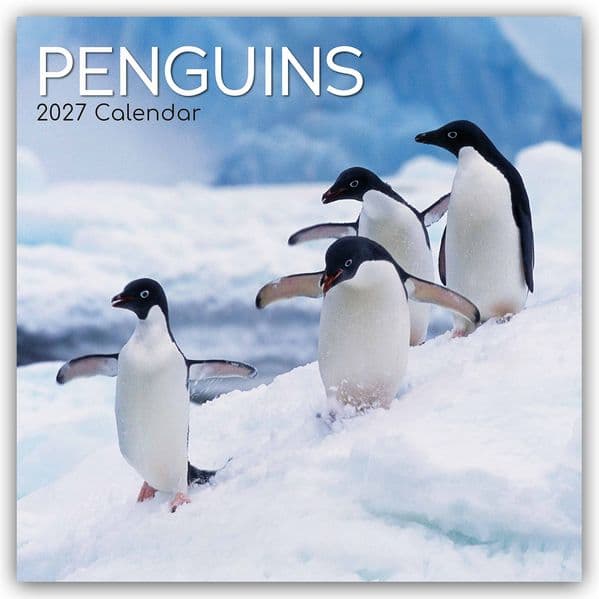 Penguins - Pinguine 2027 - 16-Monatskalender