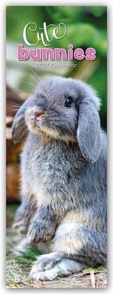 Cute Bunnies - Süße Häschen - Slimline-Kalender 2027