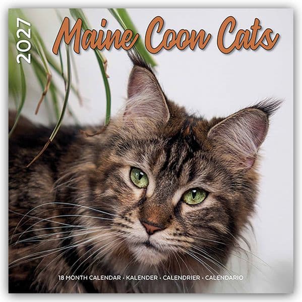 Maine Coon Cats - Main Coon Katzen 2027 - 18-Monatskalender - Original Plenty Gifts-Kalender [Mehrsprachig] [Kalender]