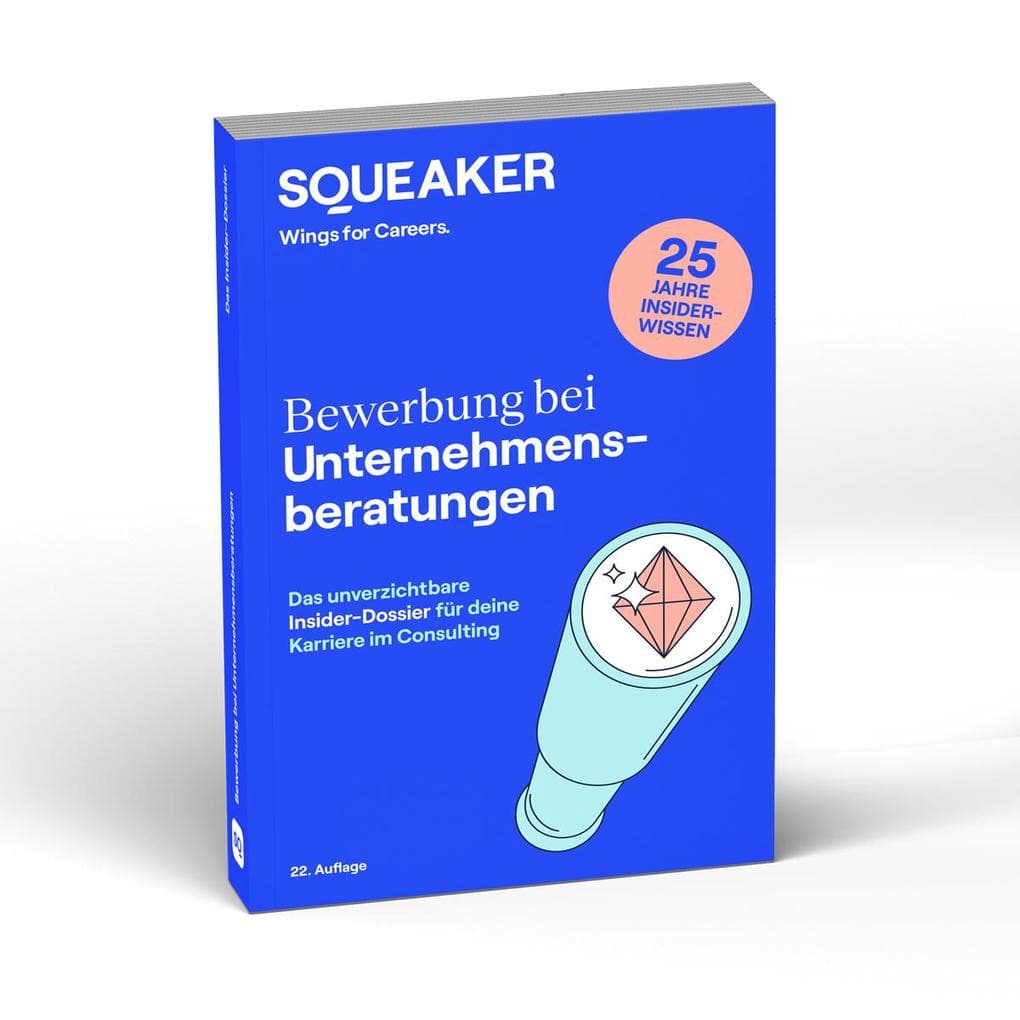 Bewerbung bei Unternehmensberatungen (22. Auflage)