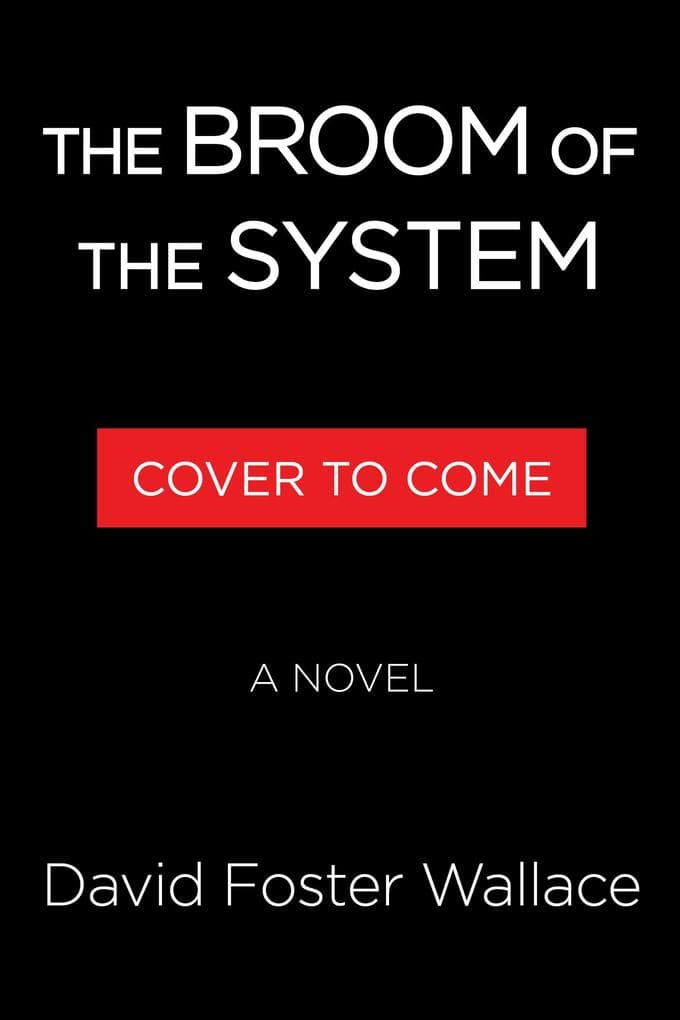The Broom of the System