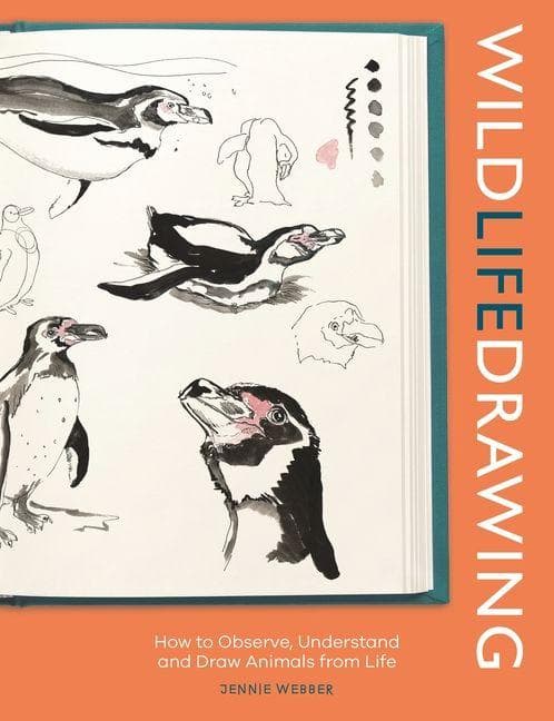 Wild Life Drawing