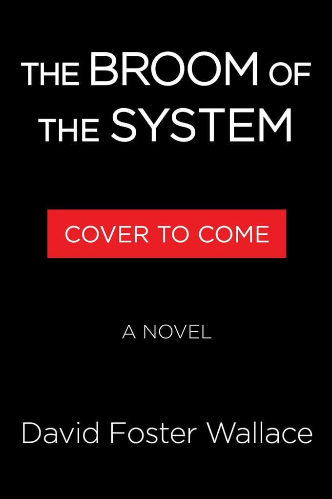 The Broom of the System